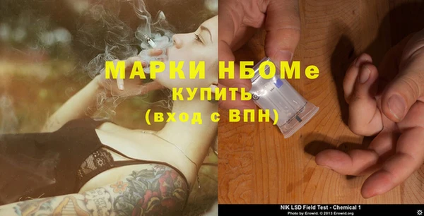сатива Зеленокумск