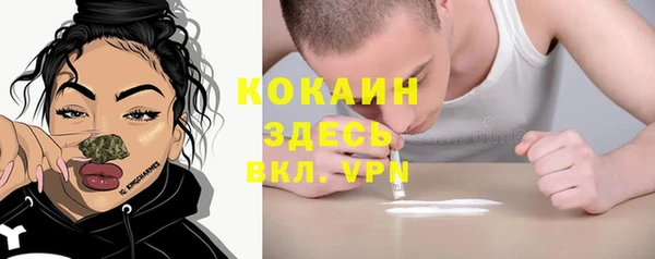 сатива Зеленокумск