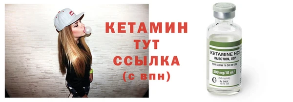 сатива Зеленокумск