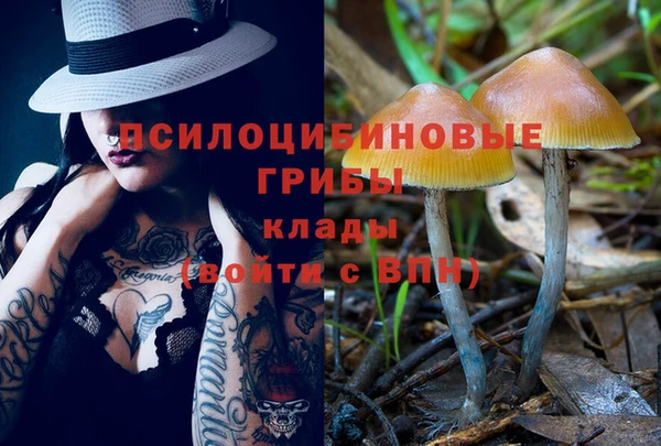 соль курить ск Карталы