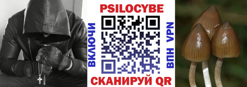 Купить где  Кремёнки  Галлюциногенные грибы Magic Shrooms 